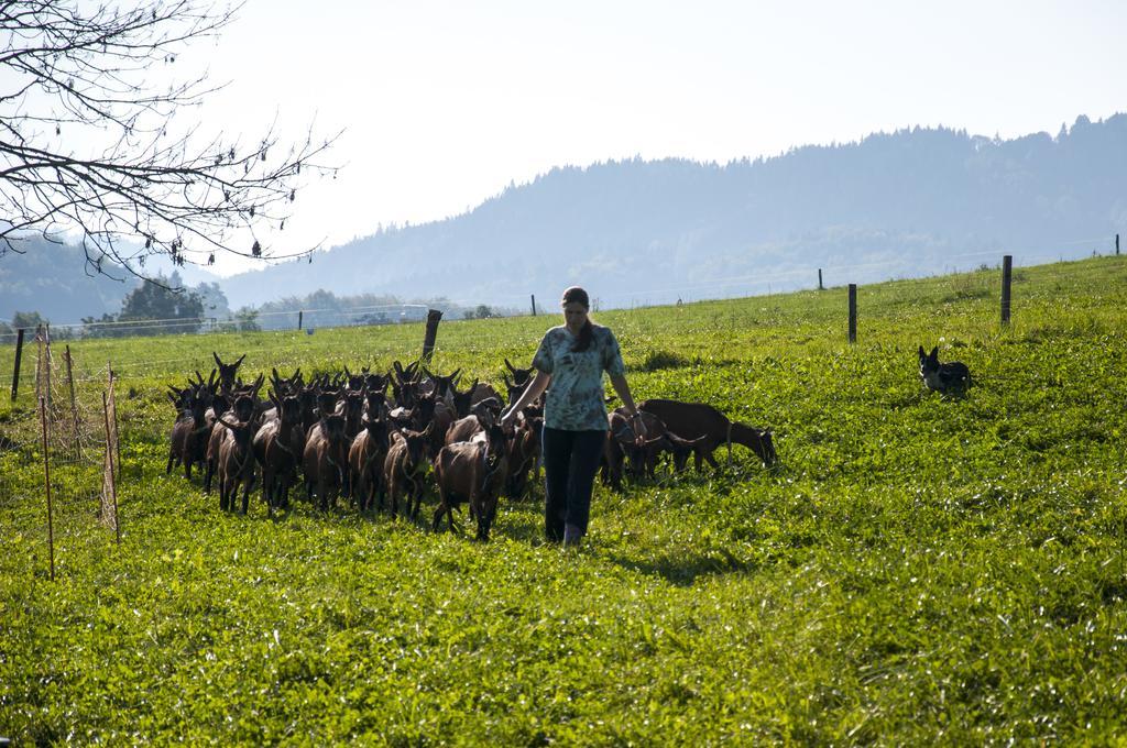 Agroturistika Kozi Farma Рожнов-под-Радгоштем Экстерьер фото